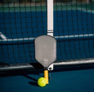 net-paddle-ball net-paddle-ball